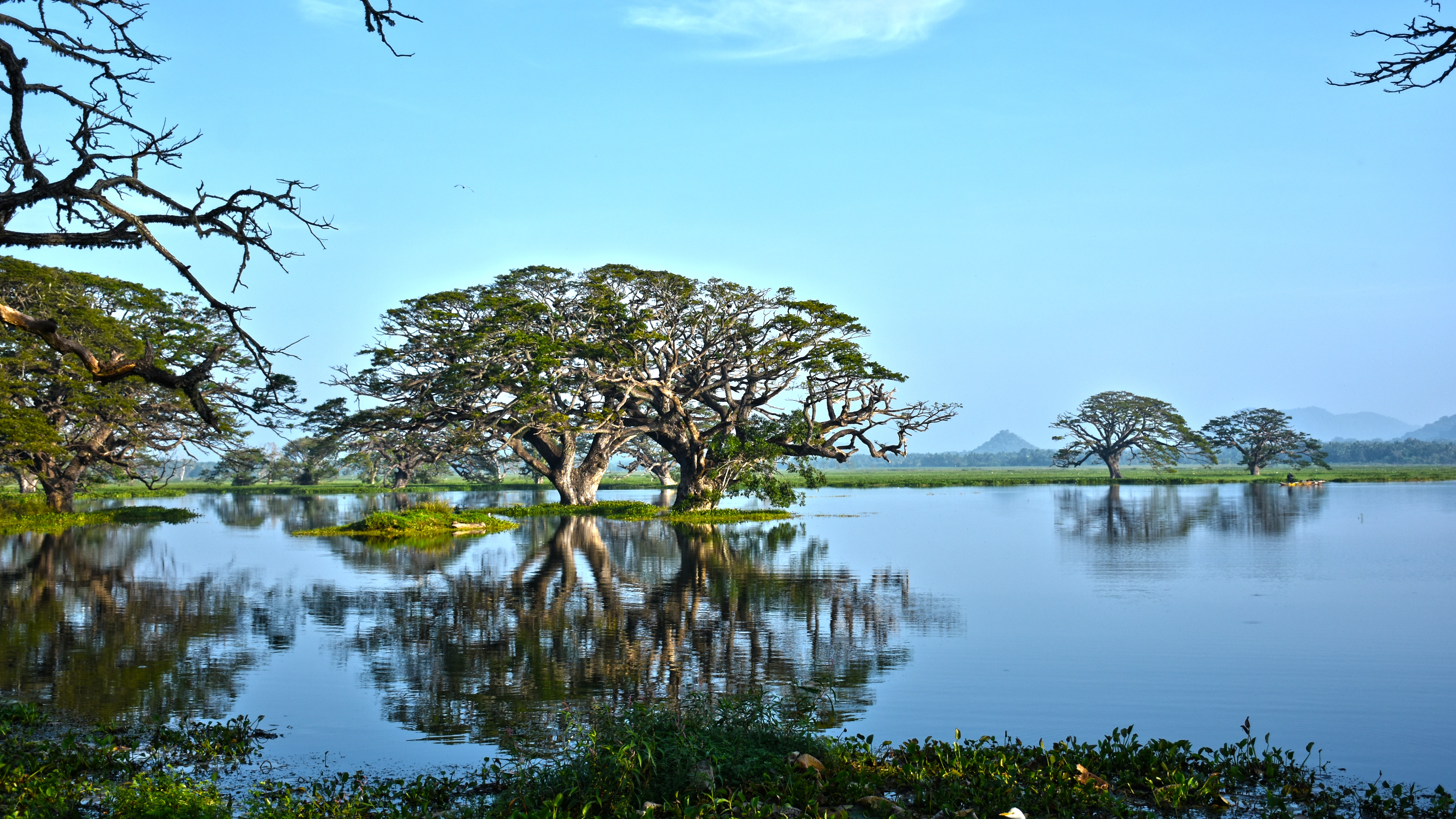 Natural Water